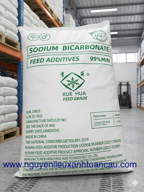 Sodium Bicarbonate